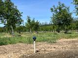 18525 Farquhar Road - Photo 28