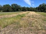 18525 Farquhar Road - Photo 32
