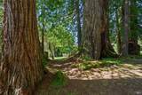 3580 Joy Road - Photo 42