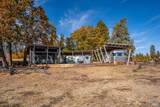 41579 Osprey Road - Photo 38
