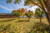 41579 Osprey Road - Photo 56