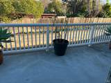 329 T Street - Photo 7