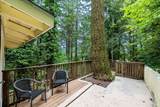 17731 Old Monte Rio Road - Photo 47