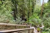 17731 Old Monte Rio Road - Photo 48