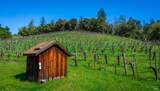 18345 Highway 128 - Photo 42