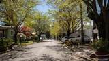 164 Verde Circle - Photo 13