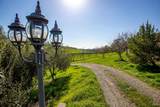 7539 Pleasants Valley Road - Photo 40