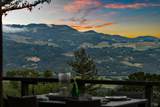 2395 Sobre Vista Road - Photo 54