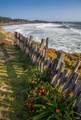 46 Sea Walk Drive - Photo 56
