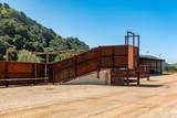 2440 Little Morro Creek Road - Photo 12