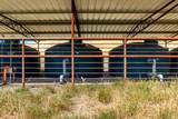2440 Little Morro Creek Road - Photo 17