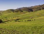 2440 Little Morro Creek Road - Photo 2