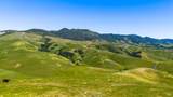 2440 Little Morro Creek Road - Photo 32