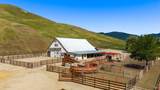 2440 Little Morro Creek Road - Photo 9