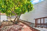 191 Lemon Tree Circle - Photo 55