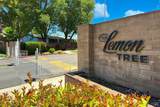 191 Lemon Tree Circle - Photo 70
