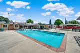 191 Lemon Tree Circle - Photo 83