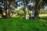3735 Tomales-Petaluma Road - Photo 52