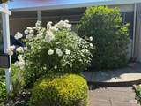 84 La Paz Drive - Photo 36