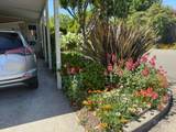 84 La Paz Drive - Photo 37