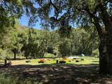 5168 State Highway 20 Highway - Photo 25