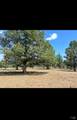 3004 Pencil Road - Photo 29