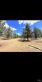 3004 Pencil Road - Photo 30