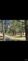3004 Pencil Road - Photo 31