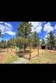 3004 Pencil Road - Photo 33