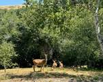 4000 Old Rancheria Road - Photo 45