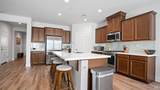 833 Cosmos Drive - Photo 14
