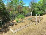 3786 Putah Creek Road - Photo 15