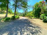 3786 Putah Creek Road - Photo 5
