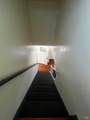 11 B Street - Photo 12