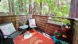17239 Verba Lane - Photo 19