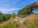 13414 Chalk Hill Road - Photo 36