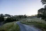 13414 Chalk Hill Road - Photo 6