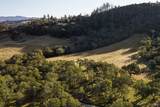 13414 Chalk Hill Road - Photo 95