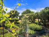 3487 Alexander Valley Road - Photo 36