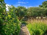 3487 Alexander Valley Road - Photo 41