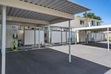 13 Oliva Drive - Photo 22