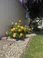 158 Chiquita Camino - Photo 35