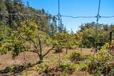 34501 S. Highway 1 - Photo 35