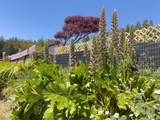 38851 S Highway One - Photo 5