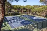 7 Eucalyptus Knoll Street - Photo 51