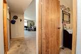 1597 Alamo Drive - Photo 44
