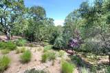 13 Black Oak Lane - Photo 24
