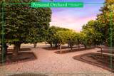 6811 Willow Road - Photo 66
