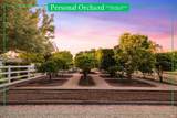 6811 Willow Road - Photo 67