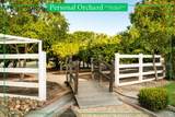 6811 Willow Road - Photo 68